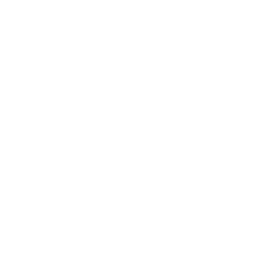 Aprilia